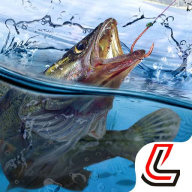 下载银河国际网上娱乐平台手机版下载-下载银河国际网上娱乐平台最新版下载v1.9