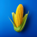 巴黎人登录网站汉化版游戏下载-巴黎人登录网站v3.25.0版下载